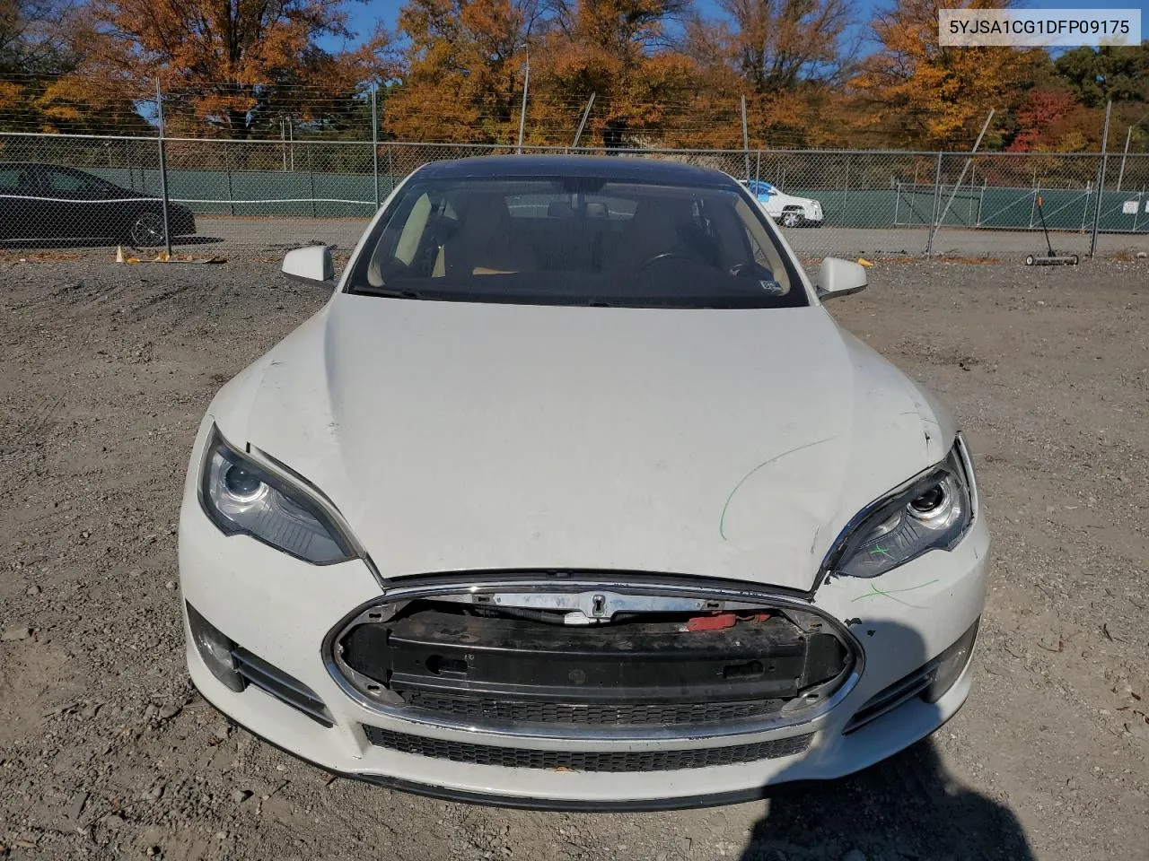 2013 Tesla Model S VIN: 5YJSA1CG1DFP09175 Lot: 76965274