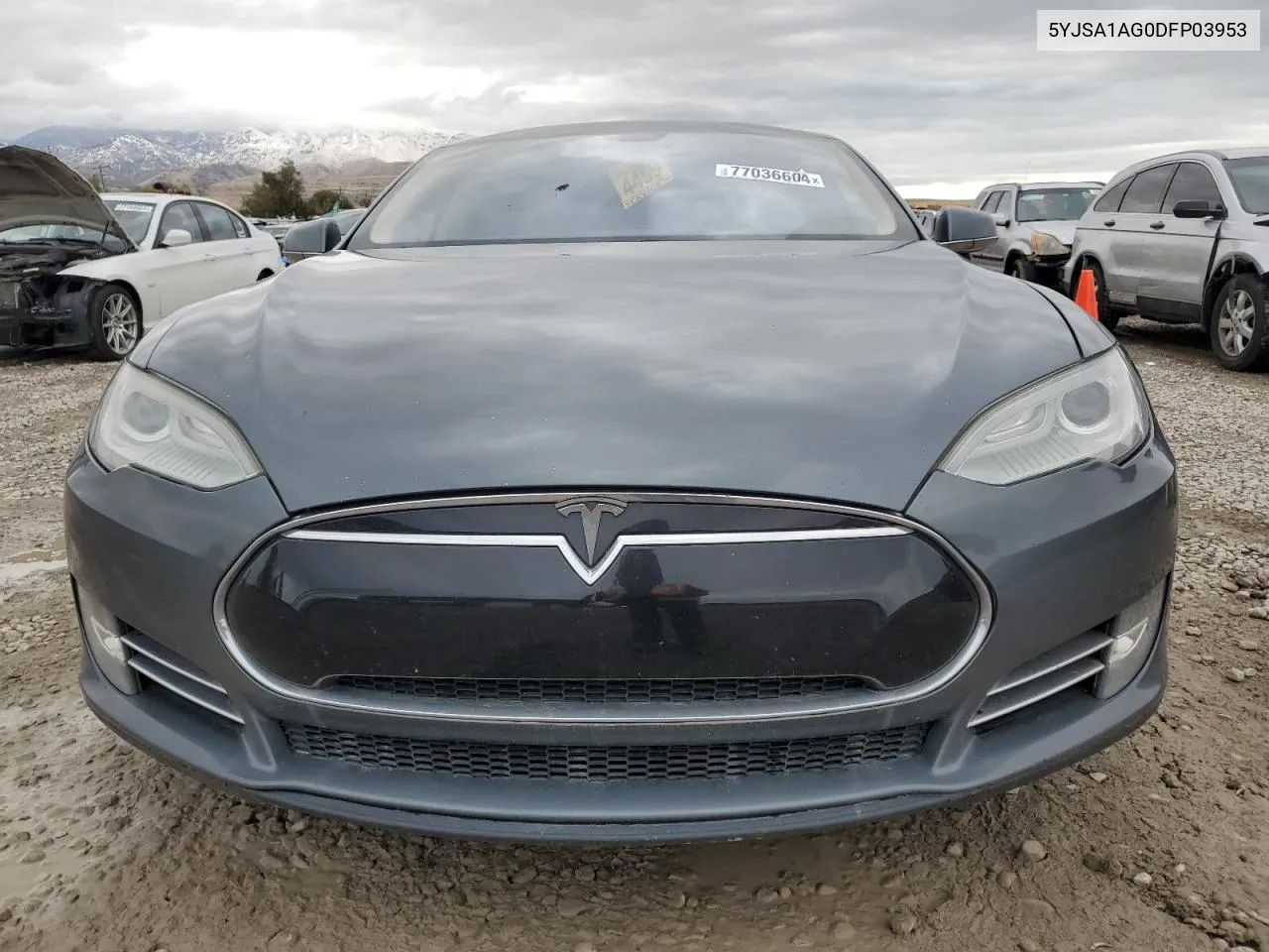 2013 Tesla Model S VIN: 5YJSA1AG0DFP03953 Lot: 77036604