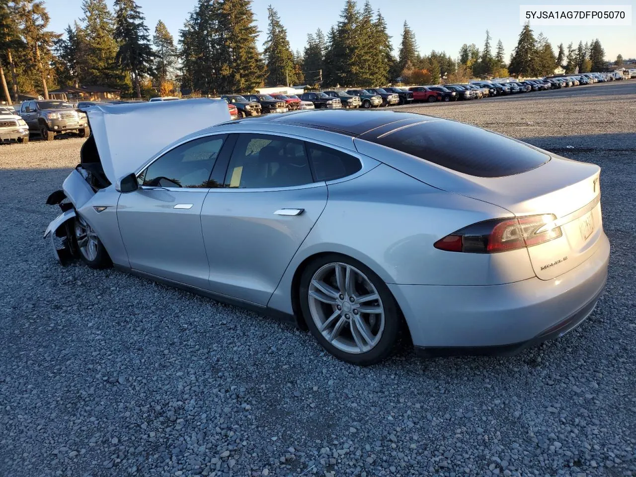 2013 Tesla Model S VIN: 5YJSA1AG7DFP05070 Lot: 79505244