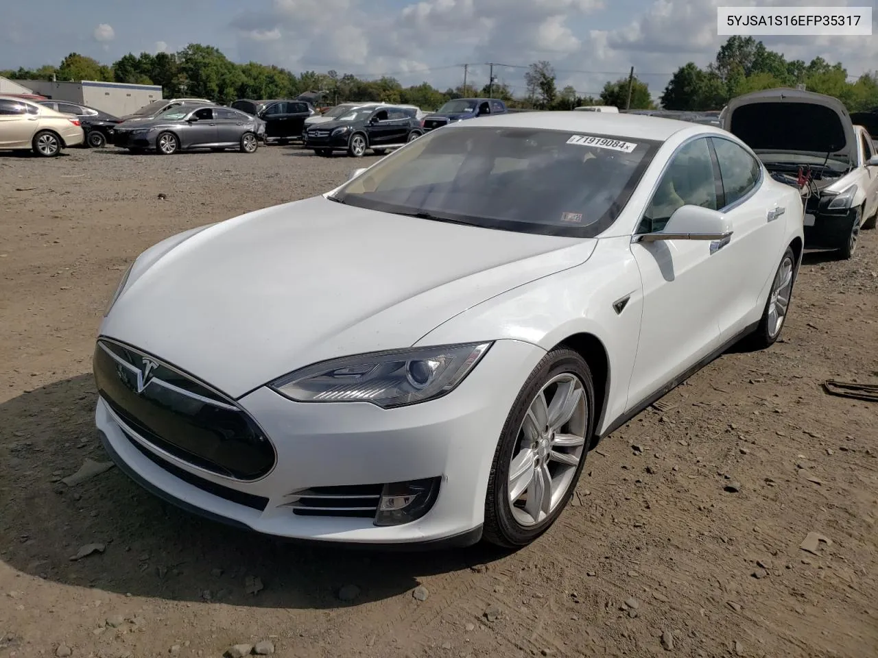 2014 Tesla Model S VIN: 5YJSA1S16EFP35317 Lot: 71919084