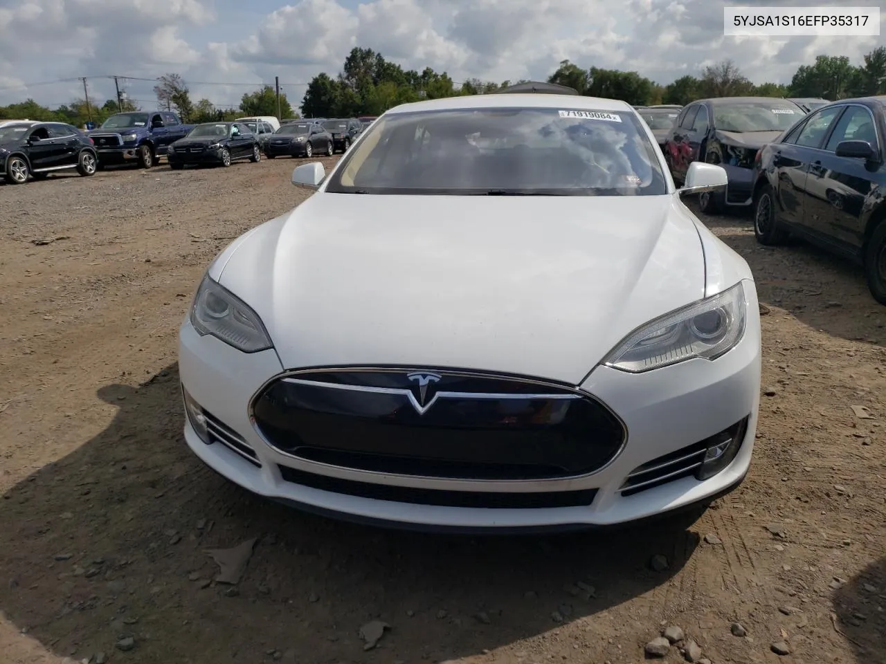 2014 Tesla Model S VIN: 5YJSA1S16EFP35317 Lot: 71919084