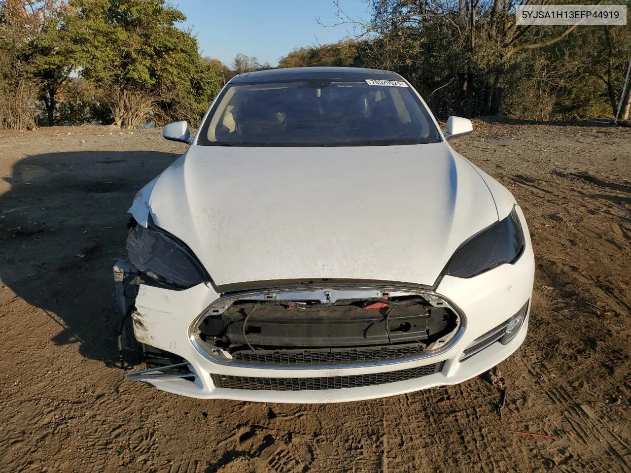 2014 Tesla Model S VIN: 5YJSA1H13EFP44919 Lot: 78520024