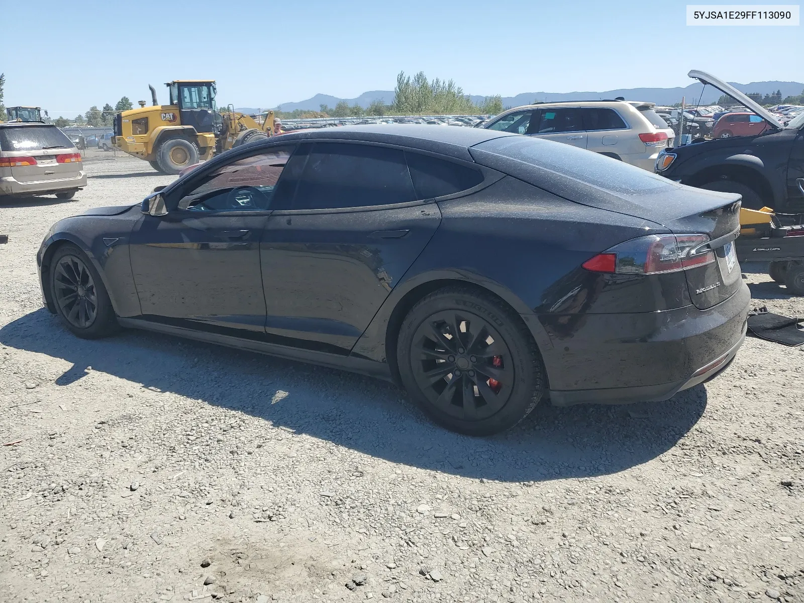 2015 Tesla Model S VIN: 5YJSA1E29FF113090 Lot: 64047394