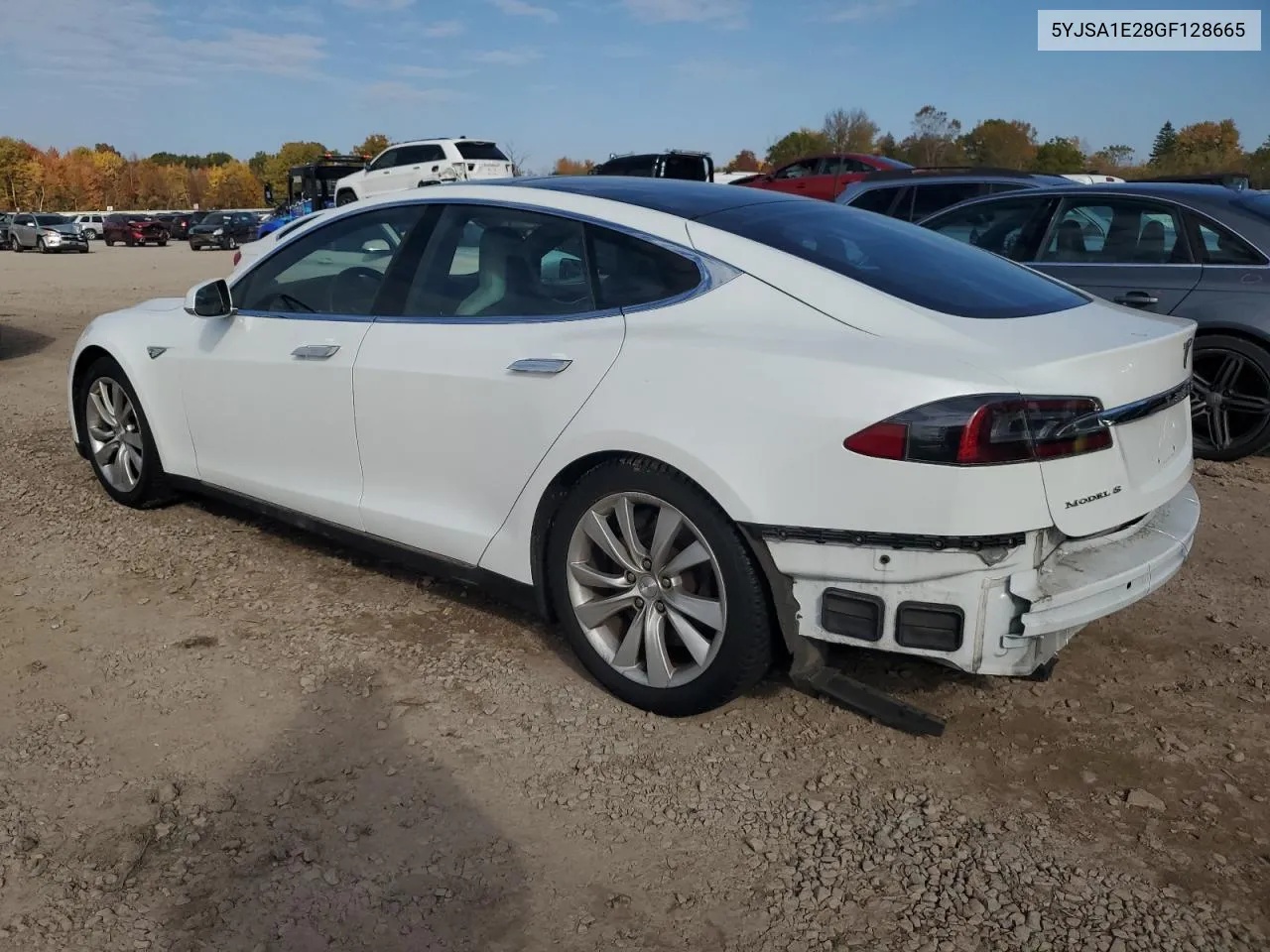 2016 Tesla Model S VIN: 5YJSA1E28GF128665 Lot: 76455504