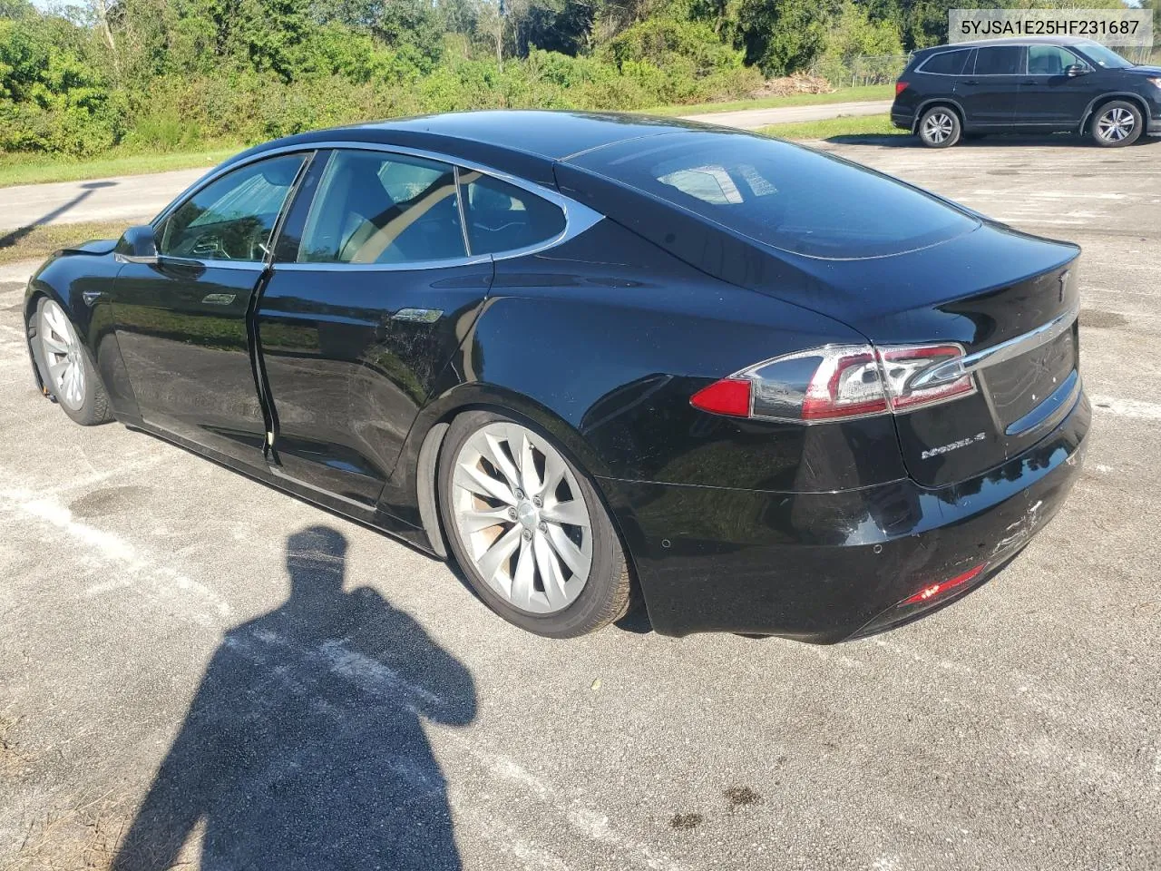 2017 Tesla Model S VIN: 5YJSA1E25HF231687 Lot: 74837254