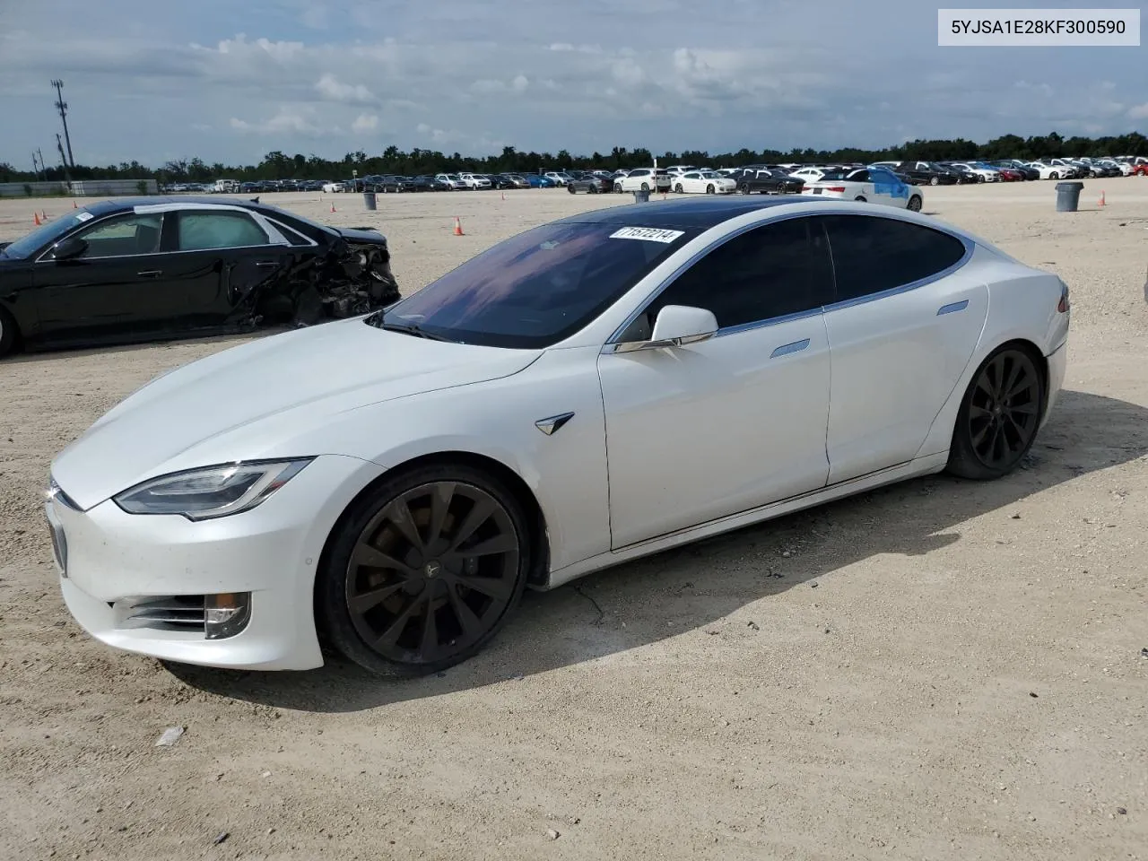 2019 Tesla Model S VIN: 5YJSA1E28KF300590 Lot: 71572214