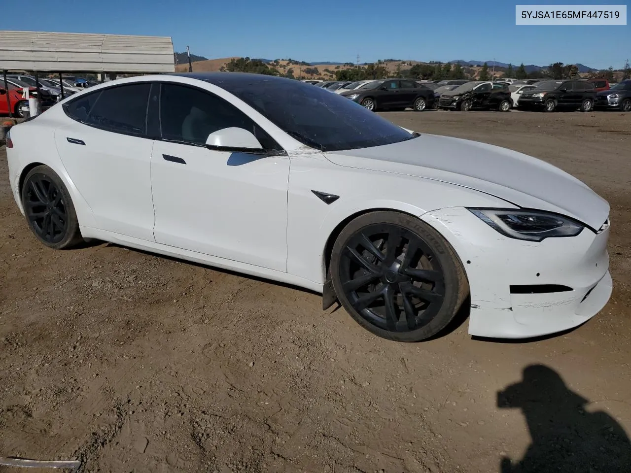 2021 Tesla Model S VIN: 5YJSA1E65MF447519 Lot: 69161144