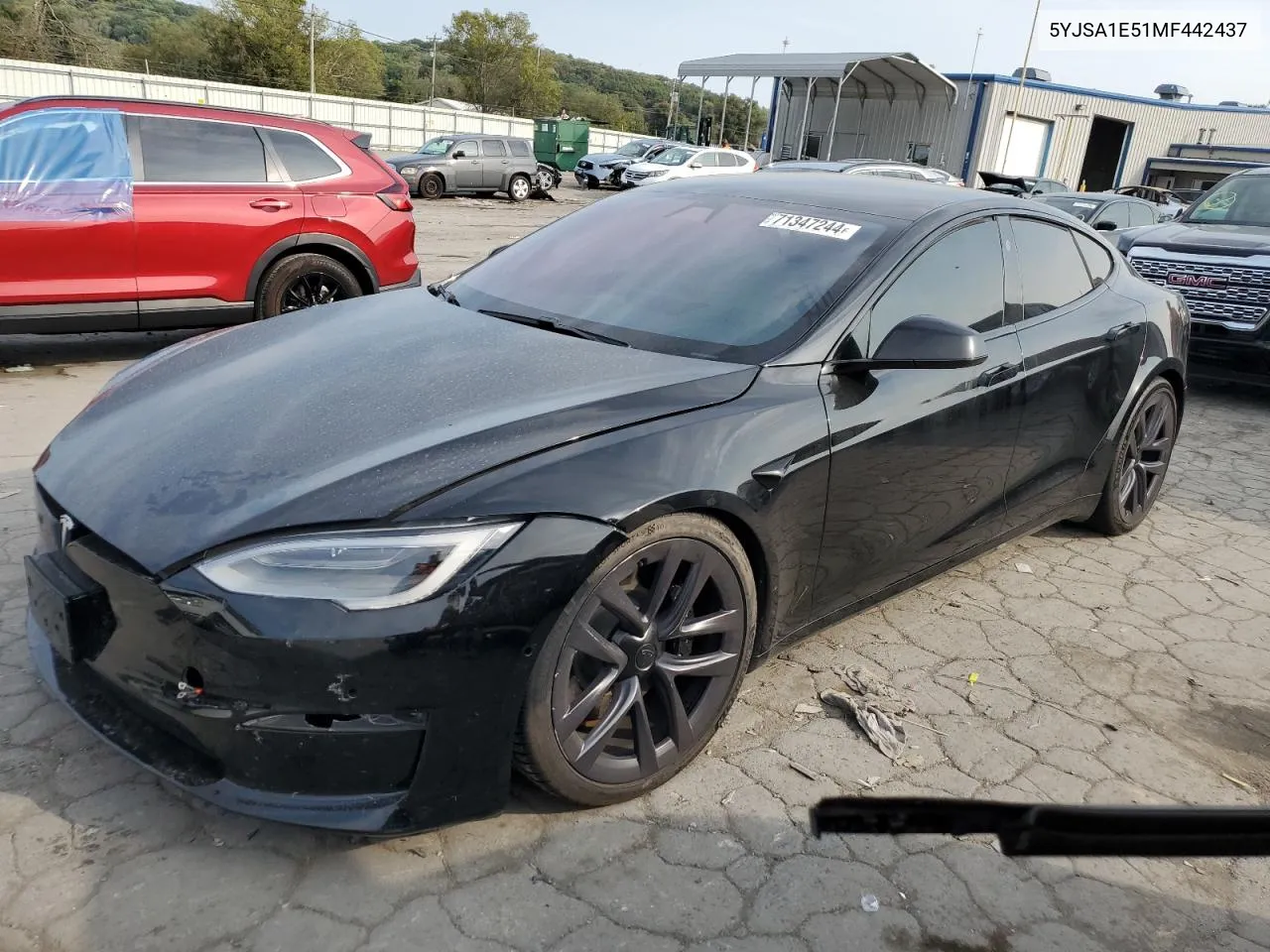 2021 Tesla Model S VIN: 5YJSA1E51MF442437 Lot: 71347244