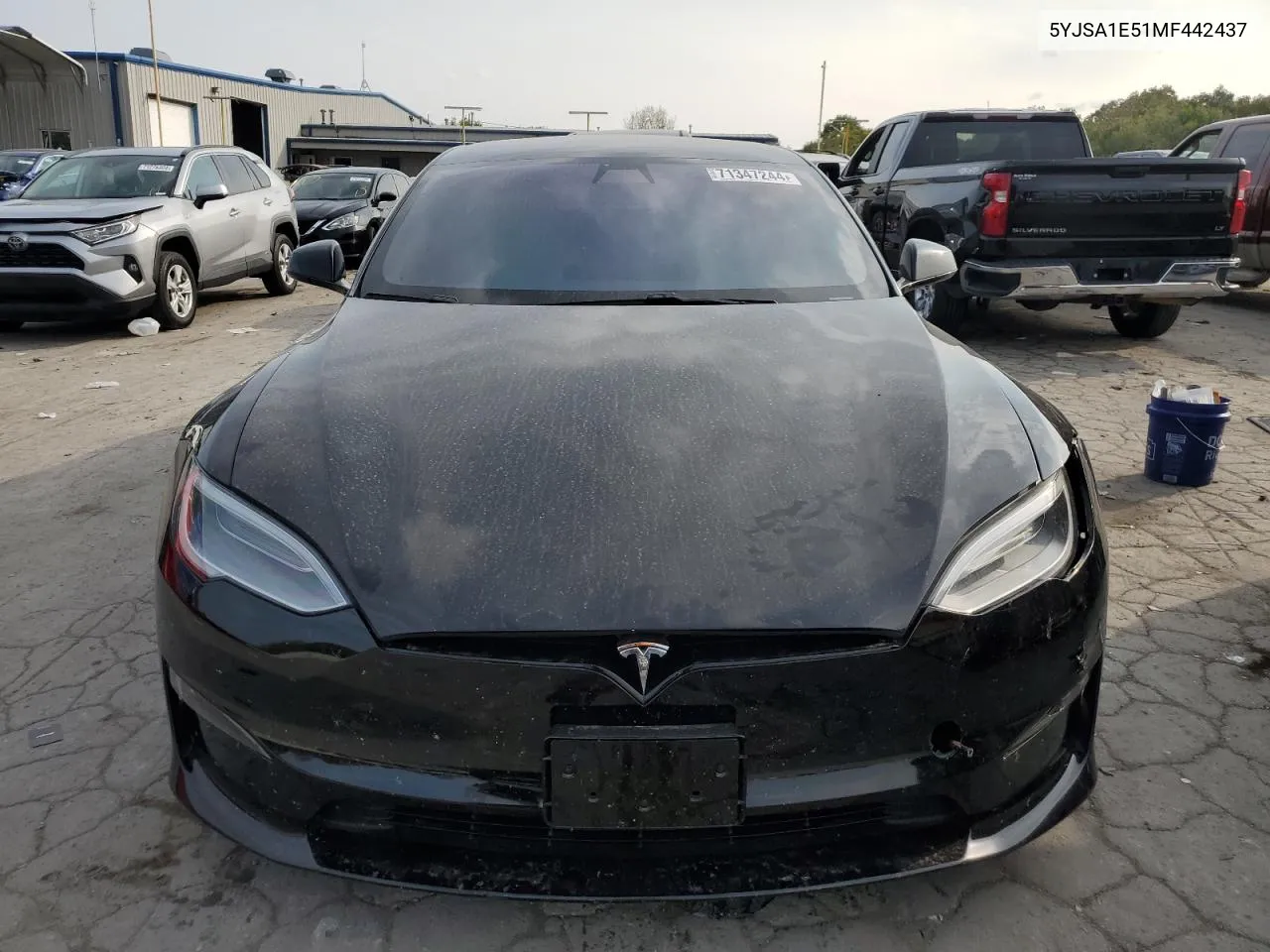 2021 Tesla Model S VIN: 5YJSA1E51MF442437 Lot: 71347244