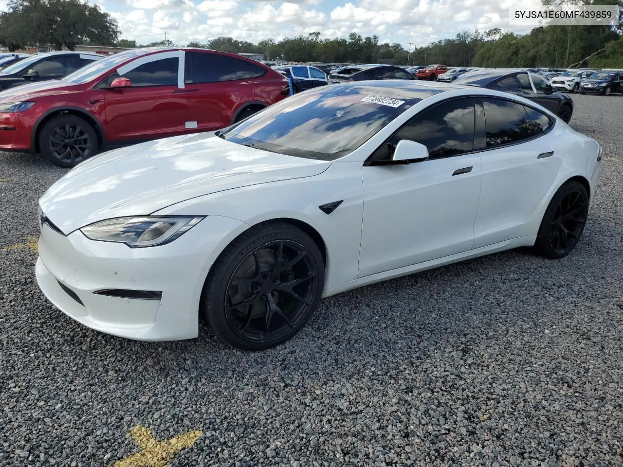 2021 Tesla Model S VIN: 5YJSA1E60MF439859 Lot: 73882734