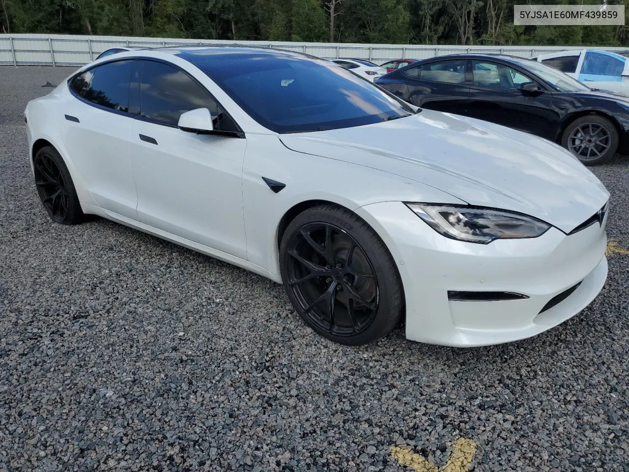 2021 Tesla Model S VIN: 5YJSA1E60MF439859 Lot: 73882734