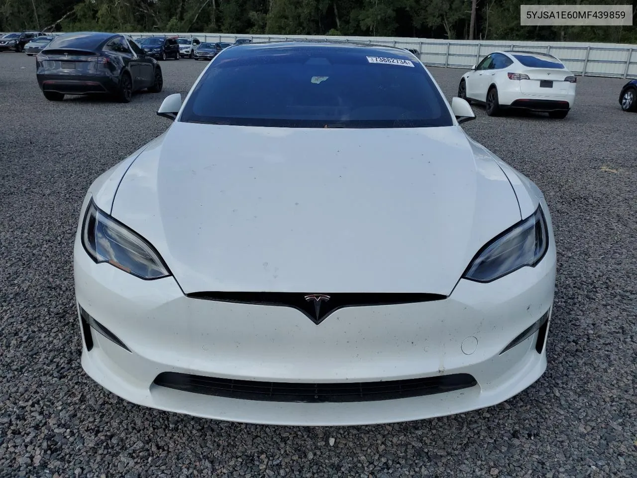 2021 Tesla Model S VIN: 5YJSA1E60MF439859 Lot: 73882734