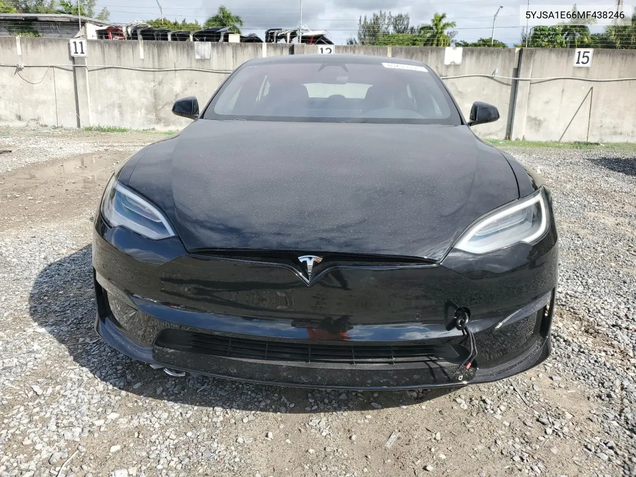 2021 Tesla Model S VIN: 5YJSA1E66MF438246 Lot: 80235554