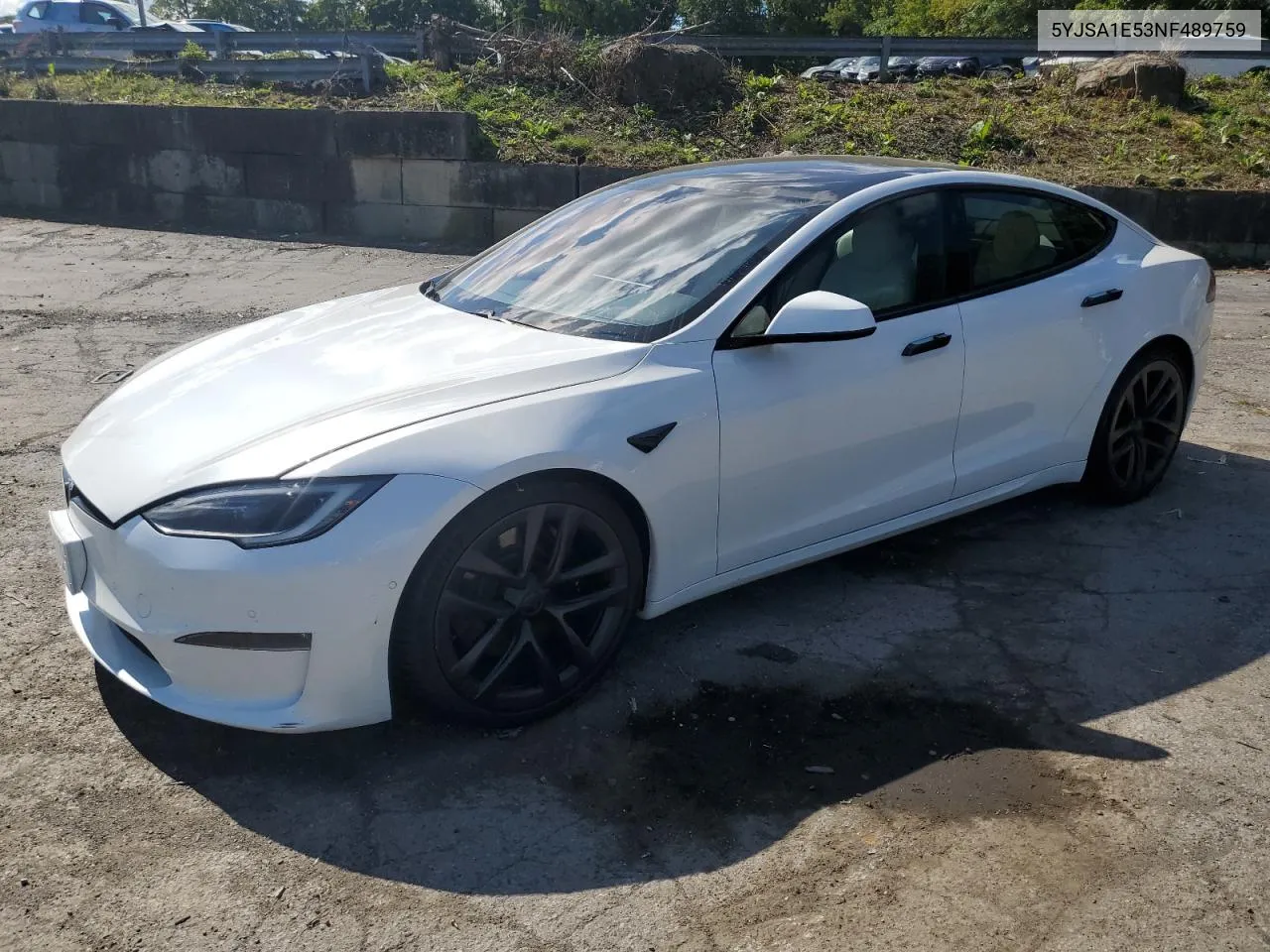 2022 Tesla Model S VIN: 5YJSA1E53NF489759 Lot: 70395474