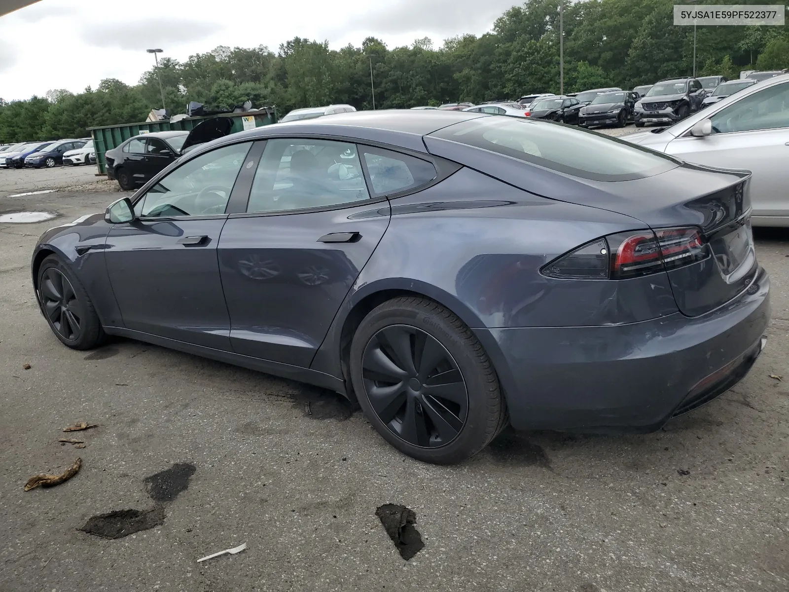 2023 Tesla Model S VIN: 5YJSA1E59PF522377 Lot: 66573504