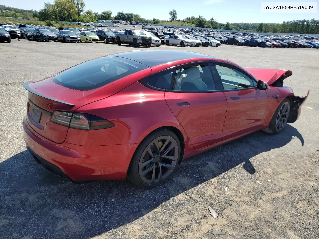 2023 Tesla Model S VIN: 5YJSA1E59PF519009 Lot: 69305584