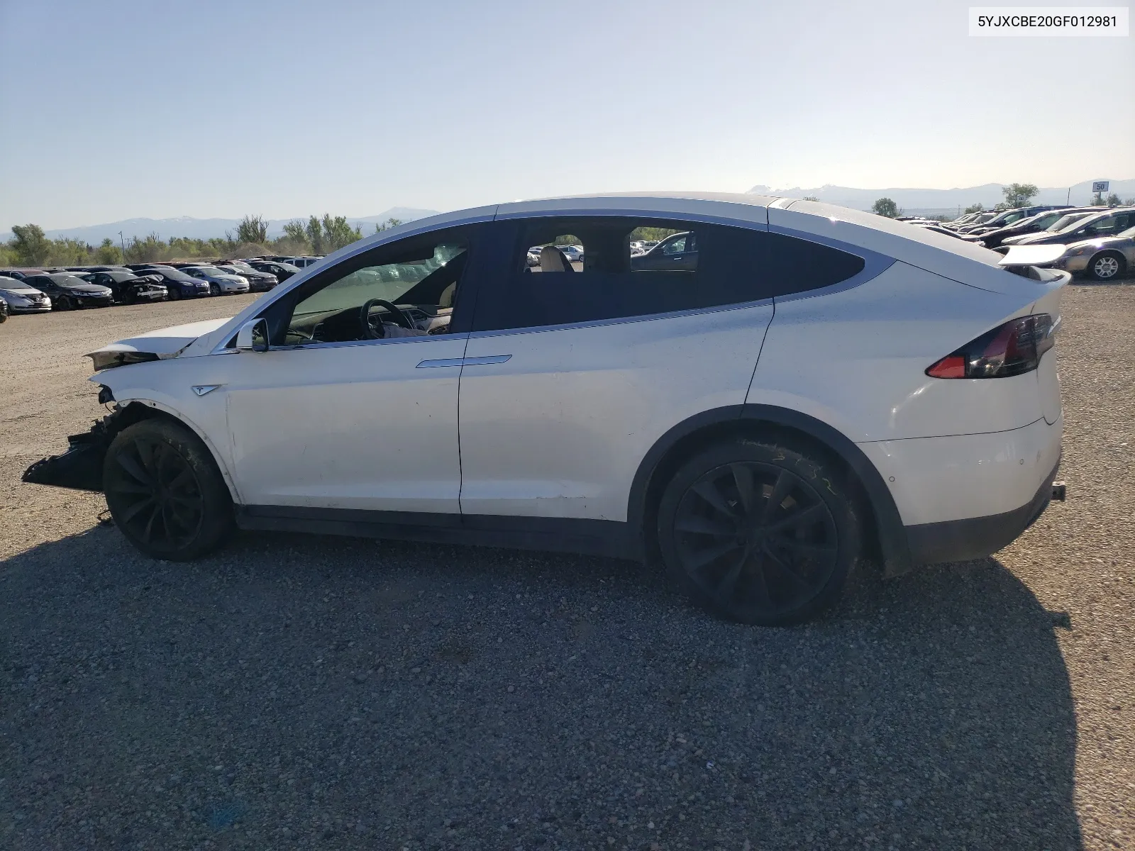 2016 Tesla Model X VIN: 5YJXCBE20GF012981 Lot: 52752634