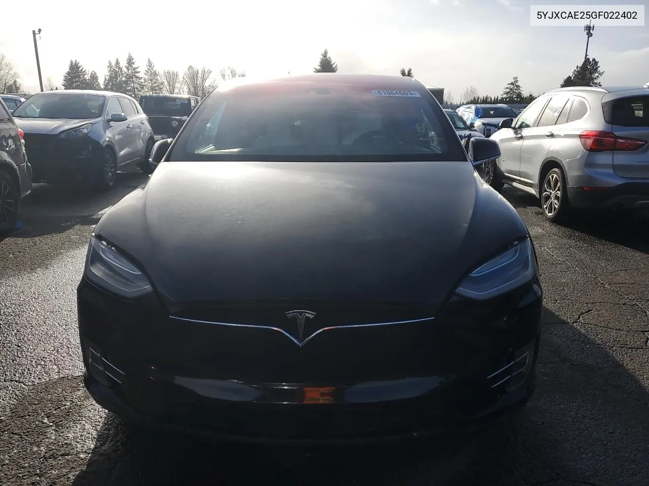 2016 Tesla Model X VIN: 5YJXCAE25GF022402 Lot: 79299094