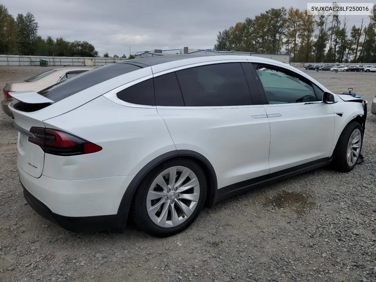 2020 Tesla Model X VIN: 5YJXCAE28LF250016 Lot: 70696344