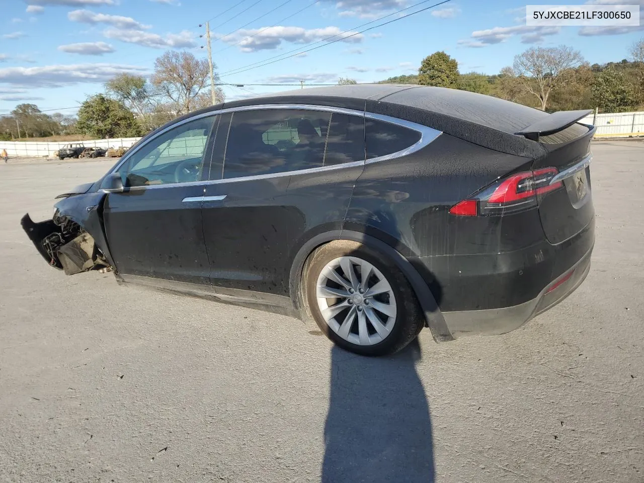 2020 Tesla Model X VIN: 5YJXCBE21LF300650 Lot: 76133354