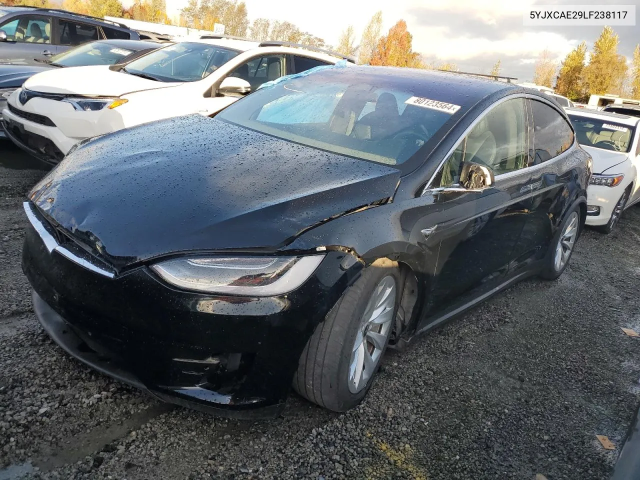 2020 Tesla Model X VIN: 5YJXCAE29LF238117 Lot: 80123564