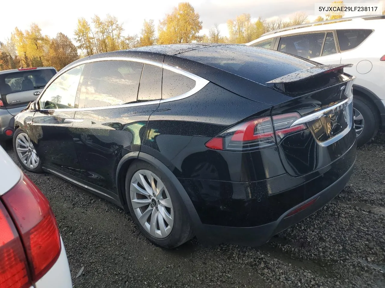 2020 Tesla Model X VIN: 5YJXCAE29LF238117 Lot: 80123564