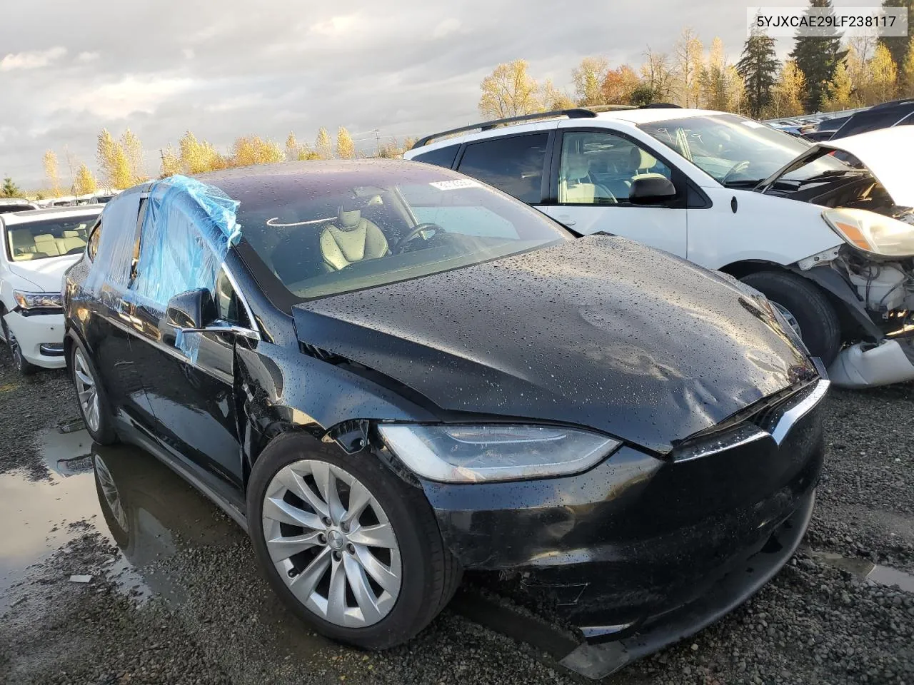 2020 Tesla Model X VIN: 5YJXCAE29LF238117 Lot: 80123564