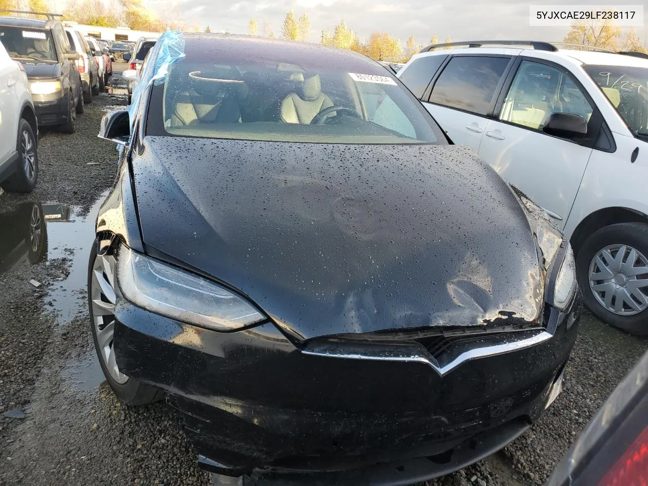 2020 Tesla Model X VIN: 5YJXCAE29LF238117 Lot: 80123564