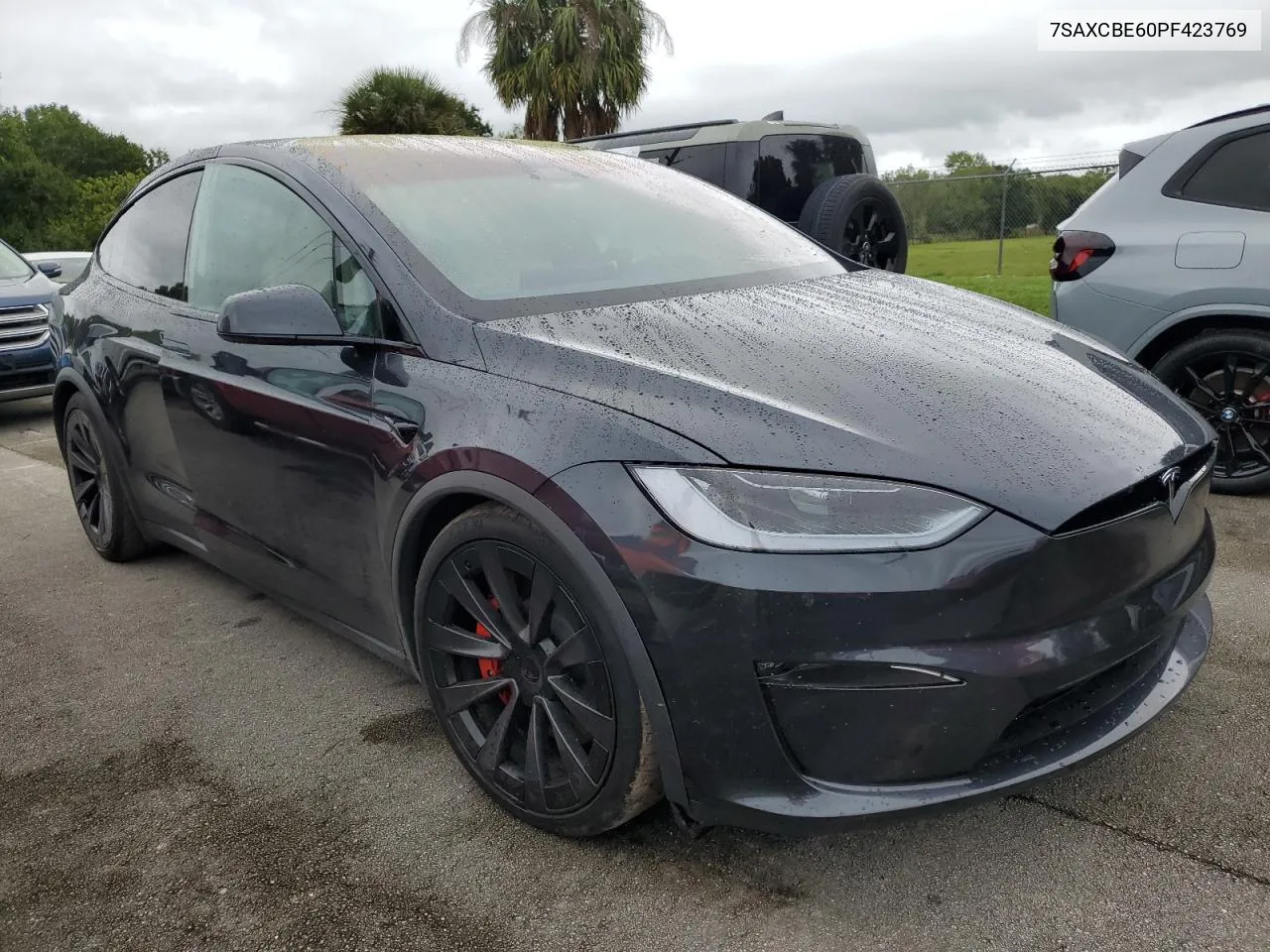 2023 Tesla Model X VIN: 7SAXCBE60PF423769 Lot: 73790274