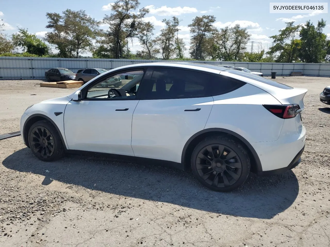 2020 Tesla Model Y VIN: 5YJYGDEE9LF046135 Lot: 68422374