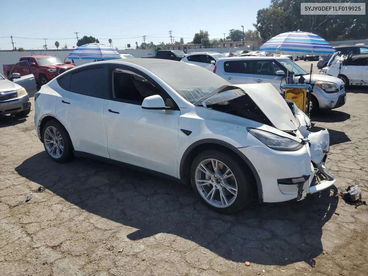 2020 Tesla Model Y VIN: 5YJYGDEF1LF019925 Lot: 72304794