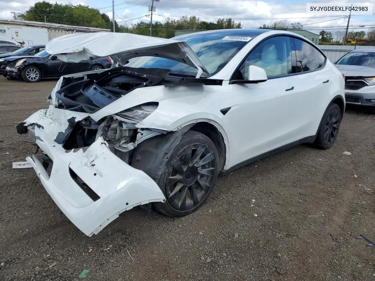 2020 Tesla Model Y VIN: 5YJYGDEEXLF042983 Lot: 73858004