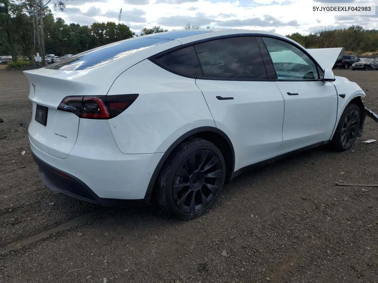 2020 Tesla Model Y VIN: 5YJYGDEEXLF042983 Lot: 73858004