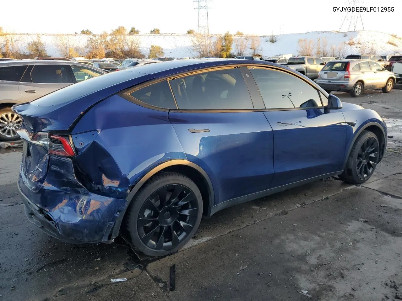 2020 Tesla Model Y VIN: 5YJYGDEE9LF012955 Lot: 79644054