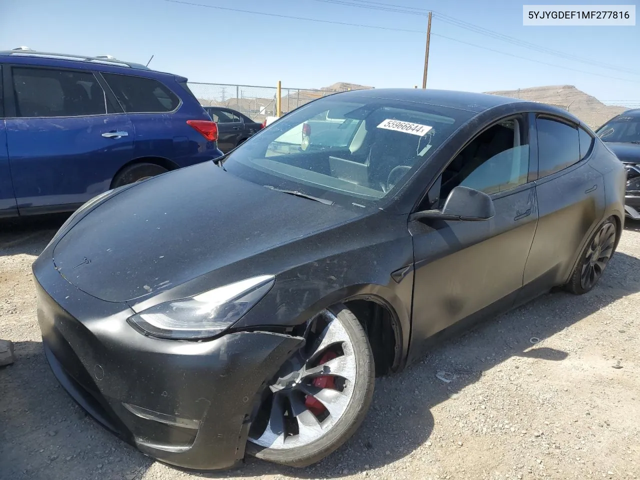 2021 Tesla Model Y VIN: 5YJYGDEF1MF277816 Lot: 55966644