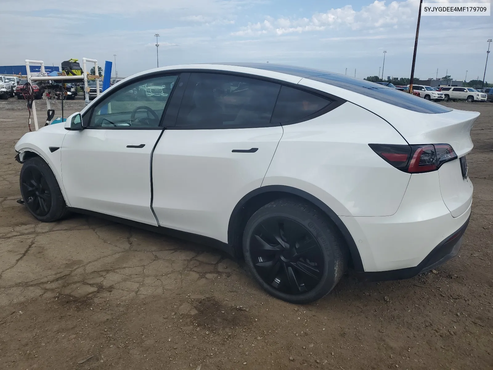 5YJYGDEE4MF179709 2021 Tesla Model Y