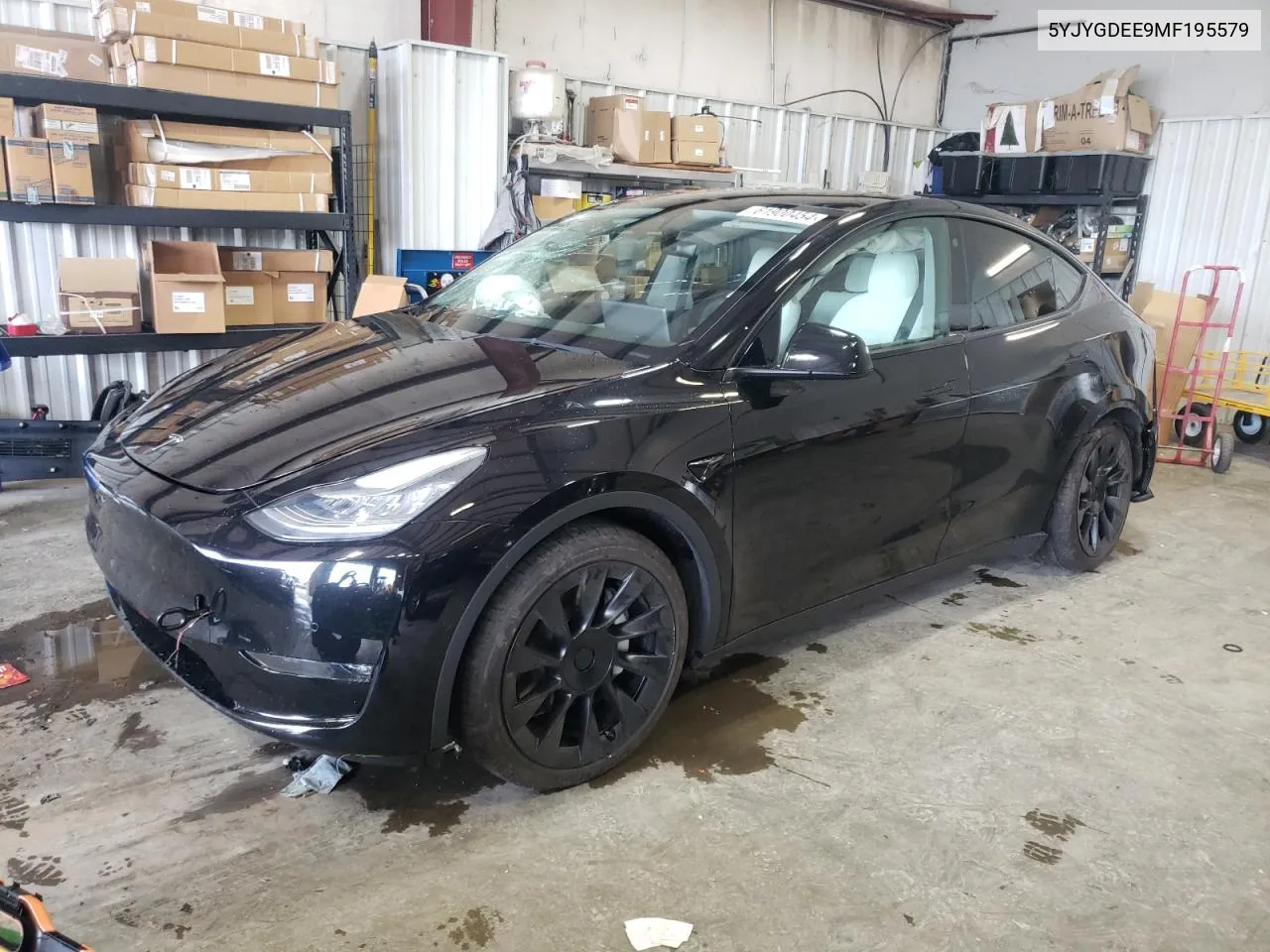 2021 Tesla Model Y VIN: 5YJYGDEE9MF195579 Lot: 61900454