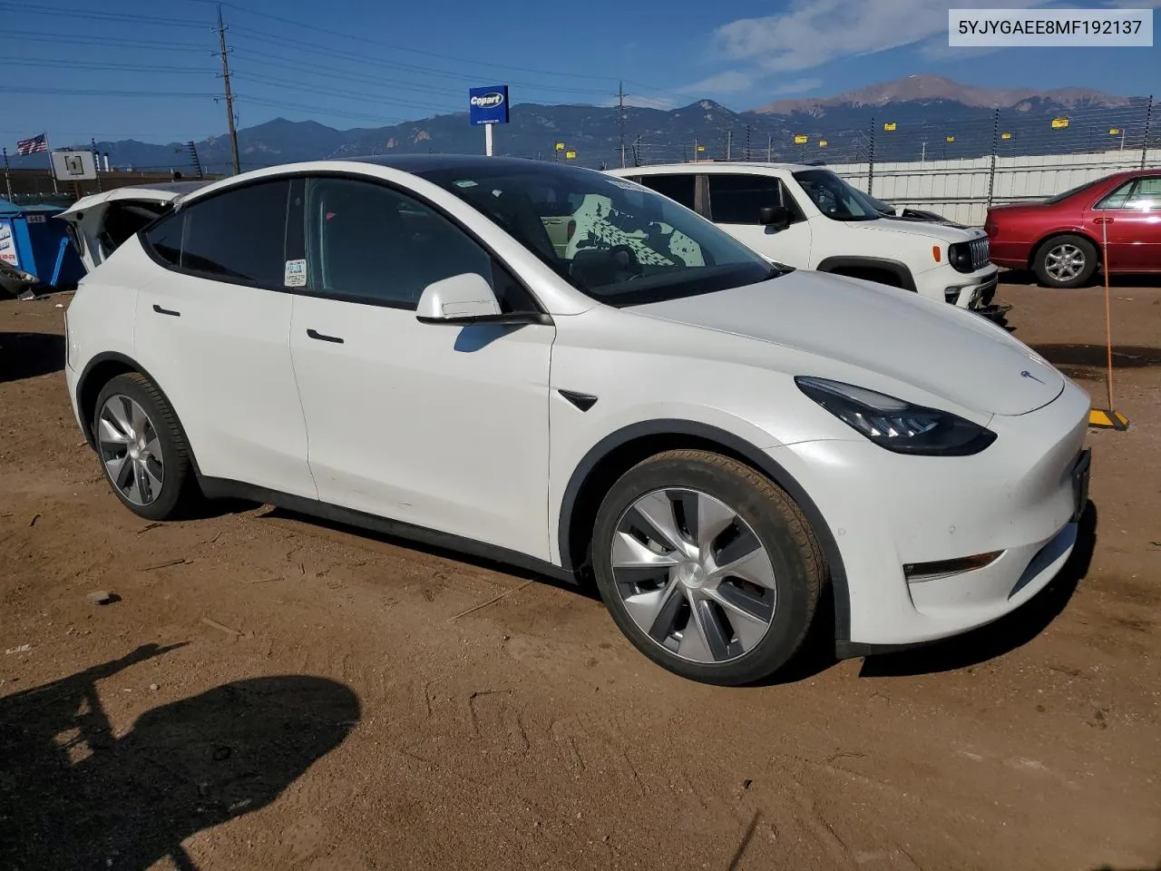 2021 Tesla Model Y VIN: 5YJYGAEE8MF192137 Lot: 62847504