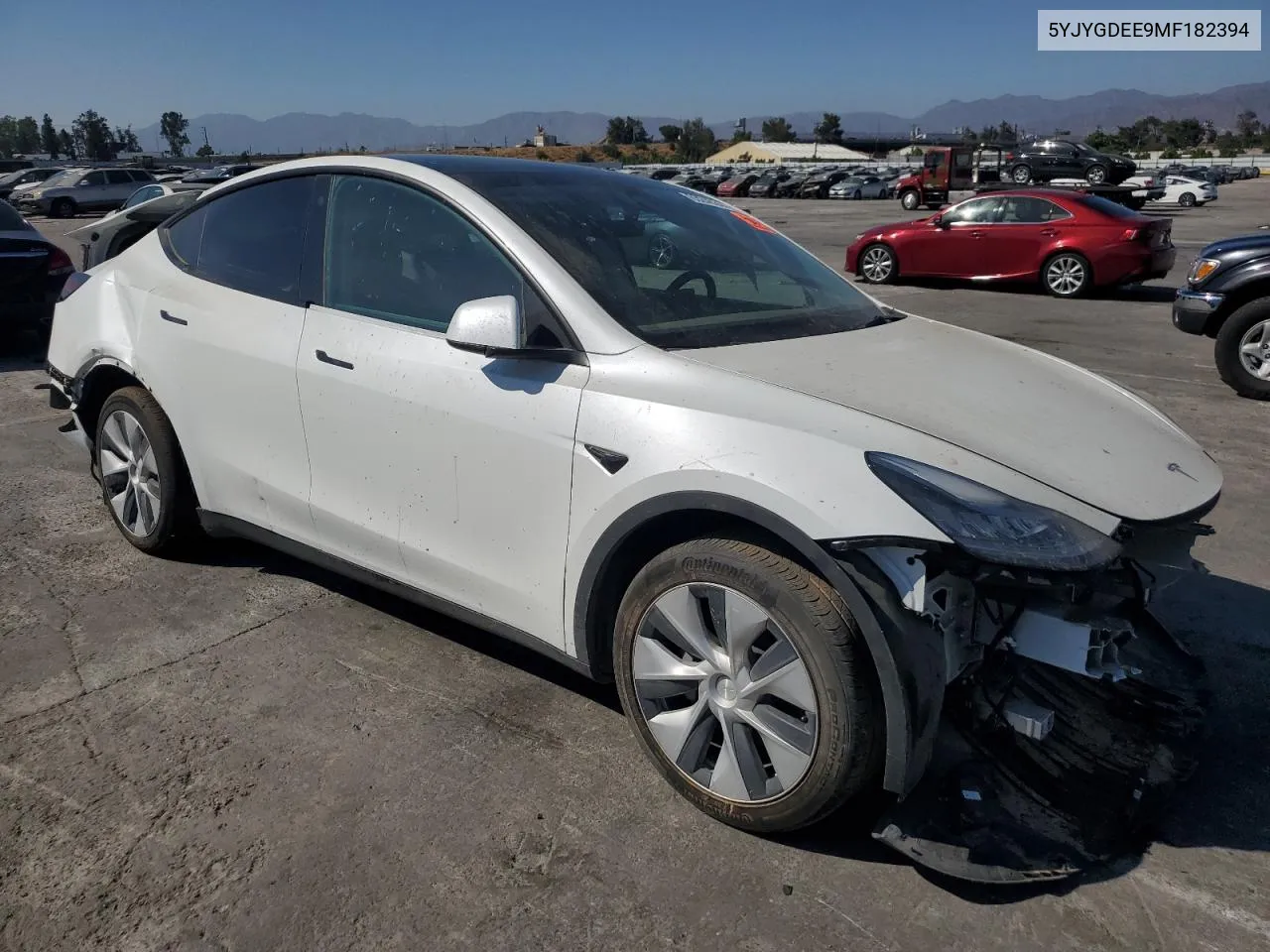 2021 Tesla Model Y VIN: 5YJYGDEE9MF182394 Lot: 63246344