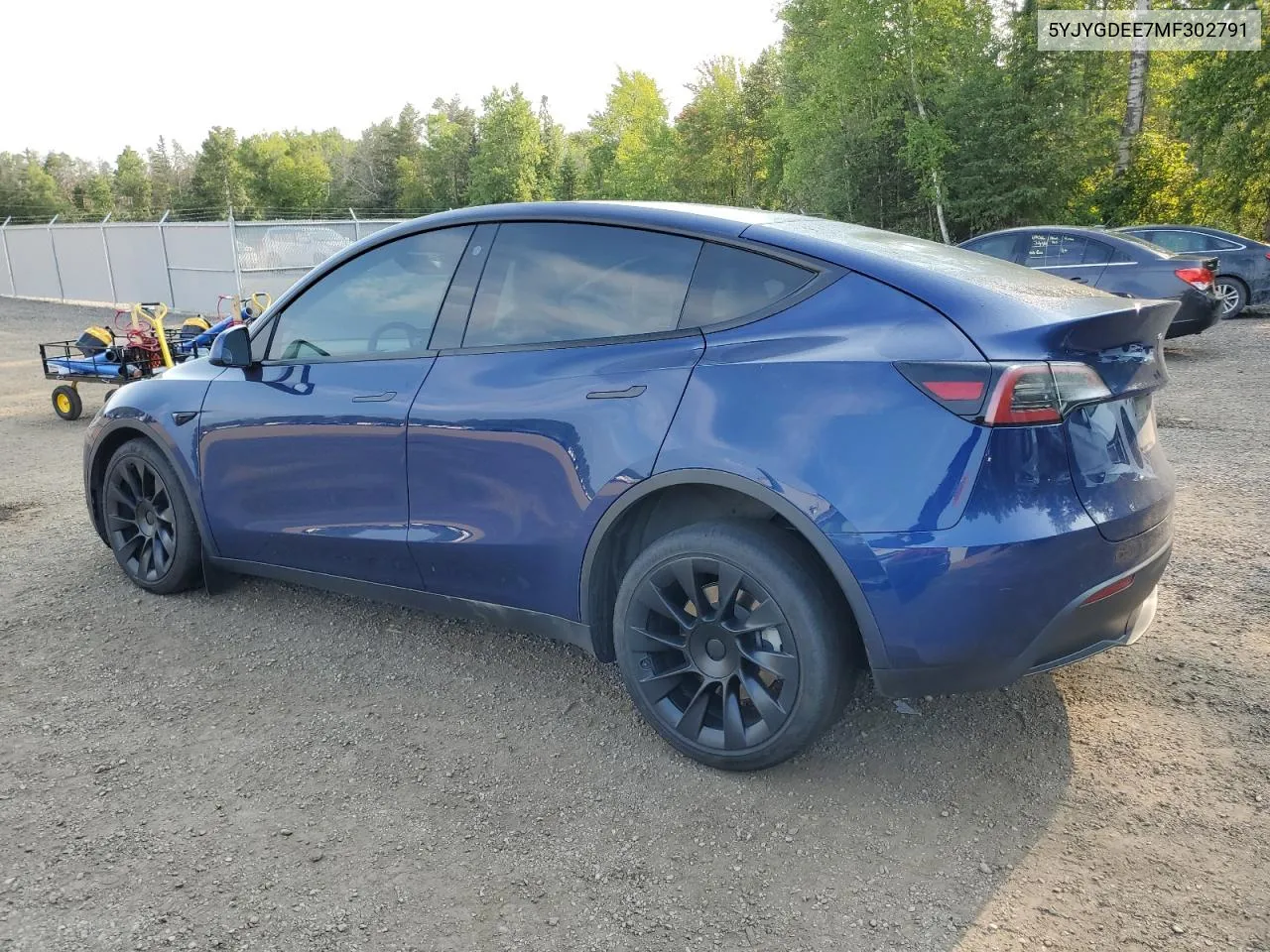 2021 Tesla Model Y VIN: 5YJYGDEE7MF302791 Lot: 63614654