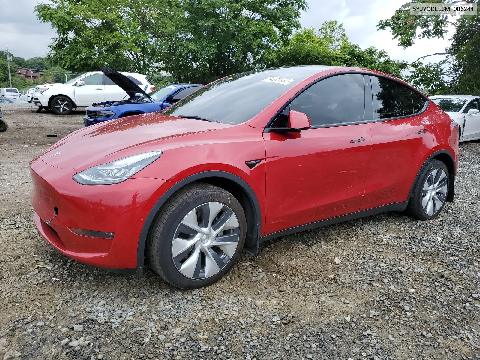 2021 Tesla Model Y VIN: 5YJYGDEE3MF086244 Lot: 64383454