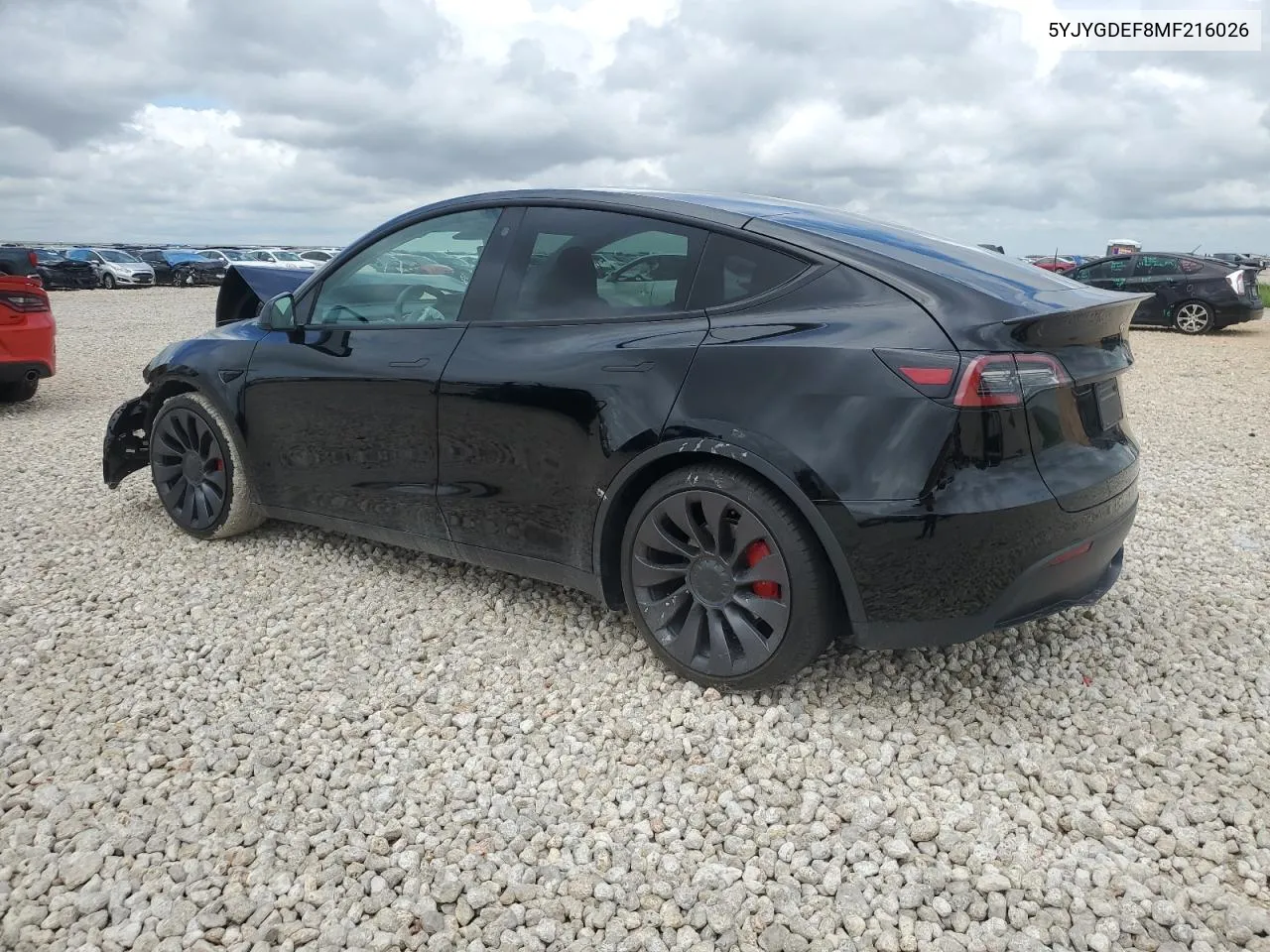 2021 Tesla Model Y VIN: 5YJYGDEF8MF216026 Lot: 64420084