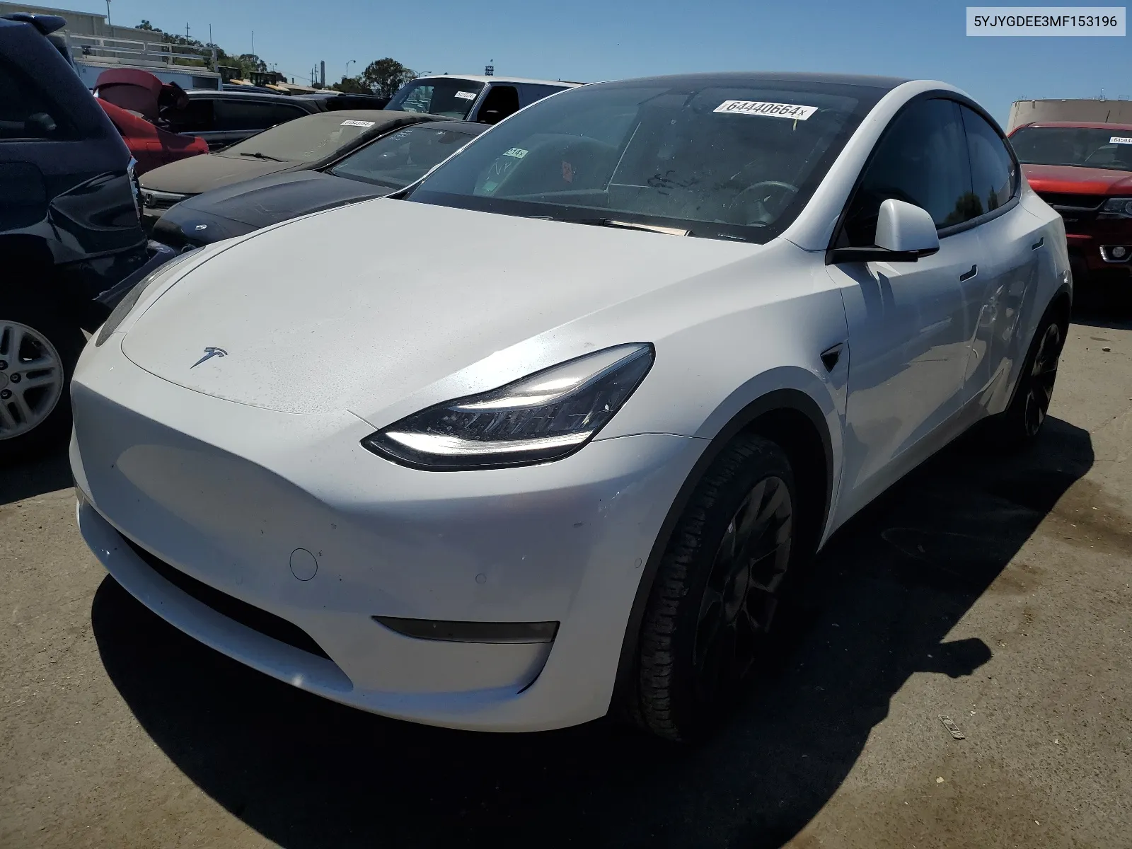 2021 Tesla Model Y VIN: 5YJYGDEE3MF153196 Lot: 64440664