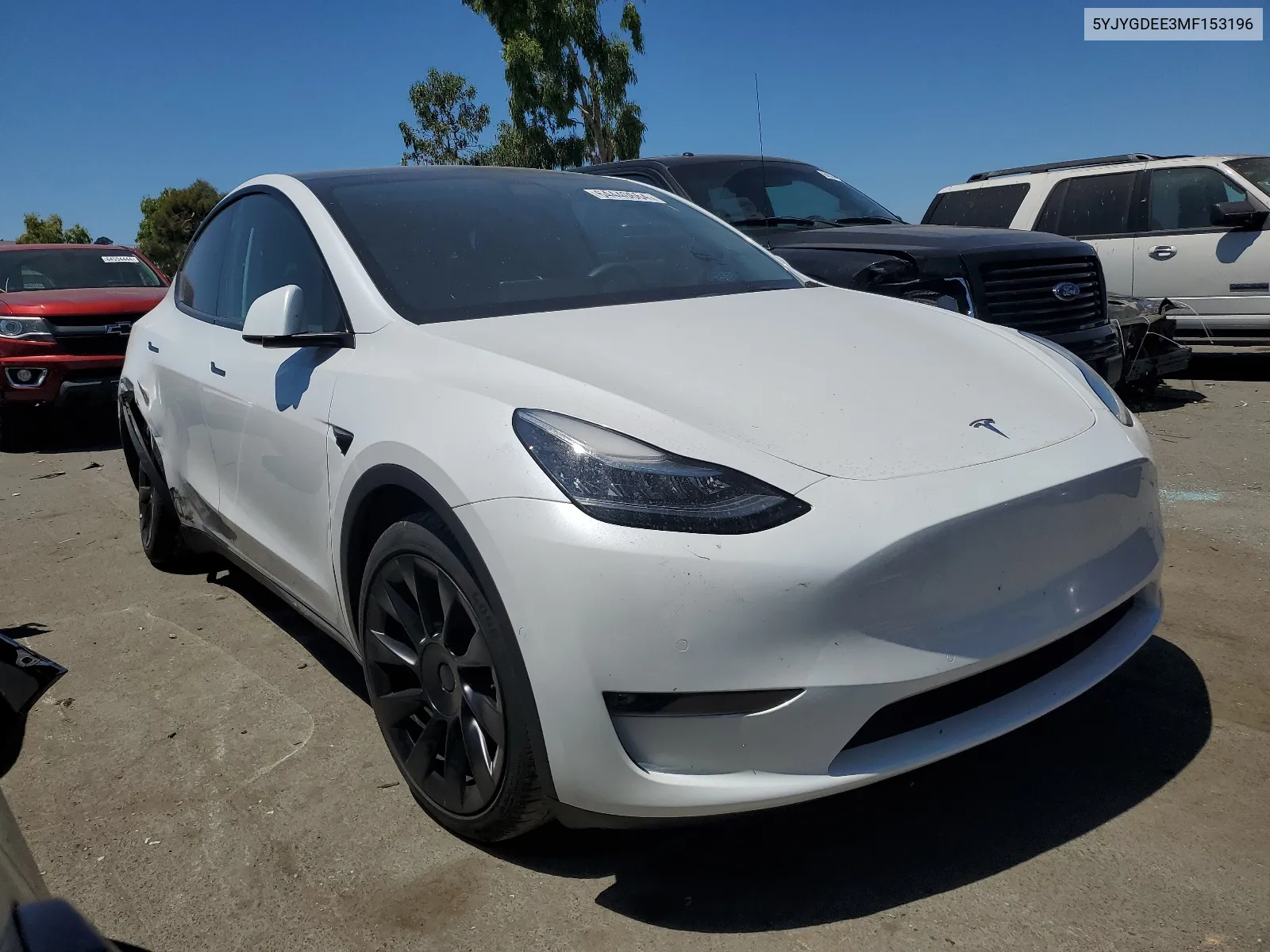 2021 Tesla Model Y VIN: 5YJYGDEE3MF153196 Lot: 64440664