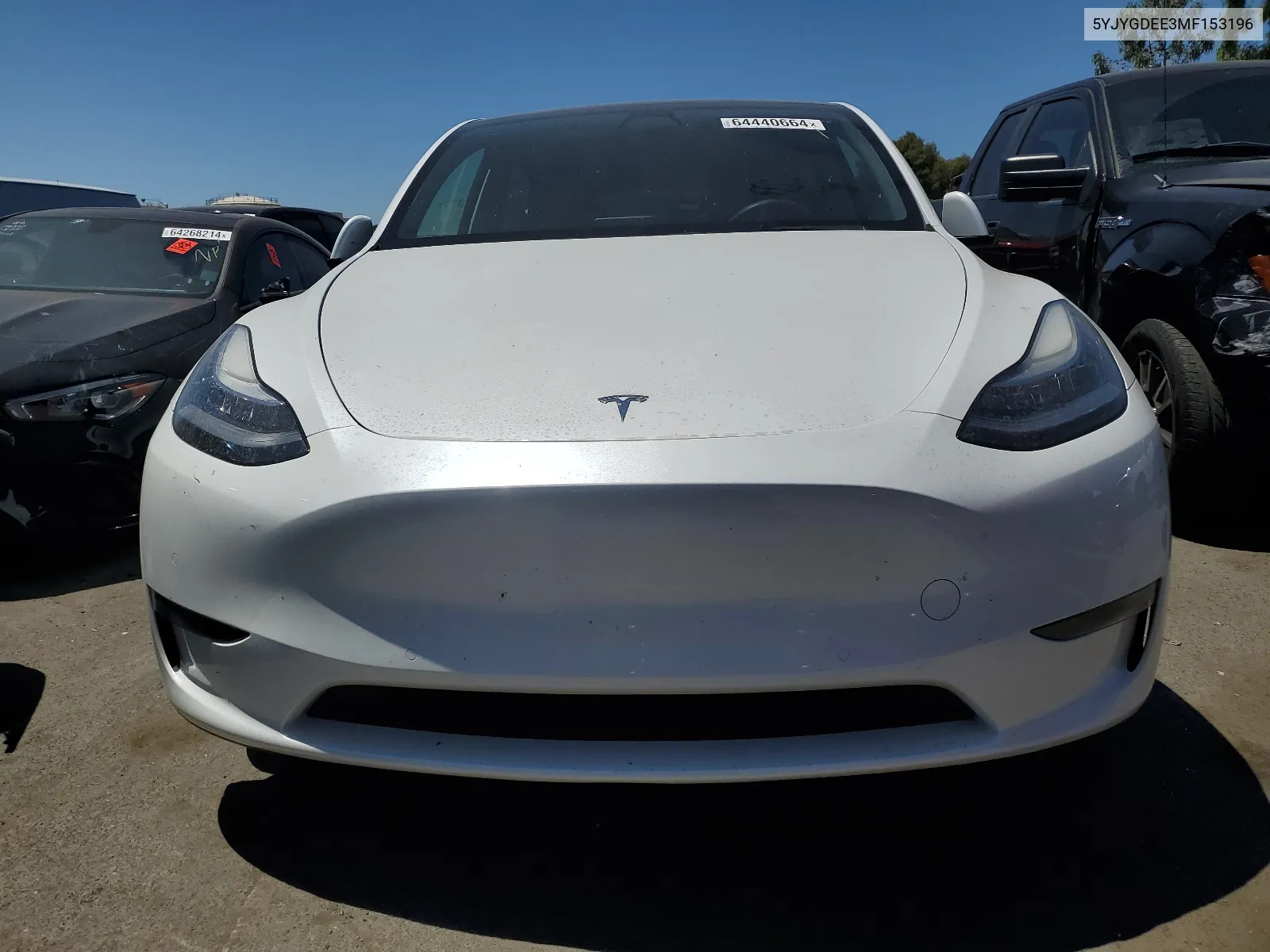 2021 Tesla Model Y VIN: 5YJYGDEE3MF153196 Lot: 64440664