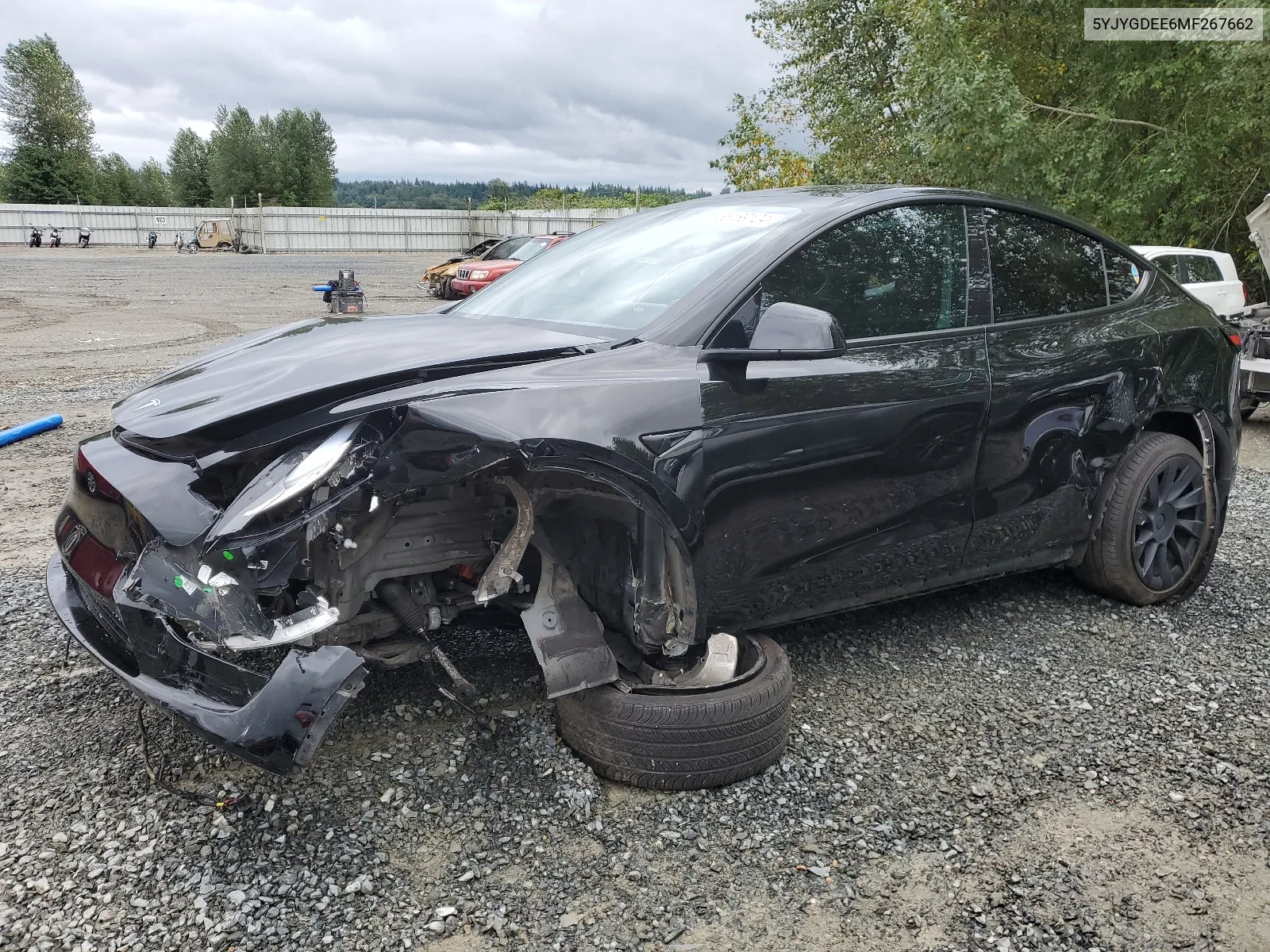 2021 Tesla Model Y VIN: 5YJYGDEE6MF267662 Lot: 65189124