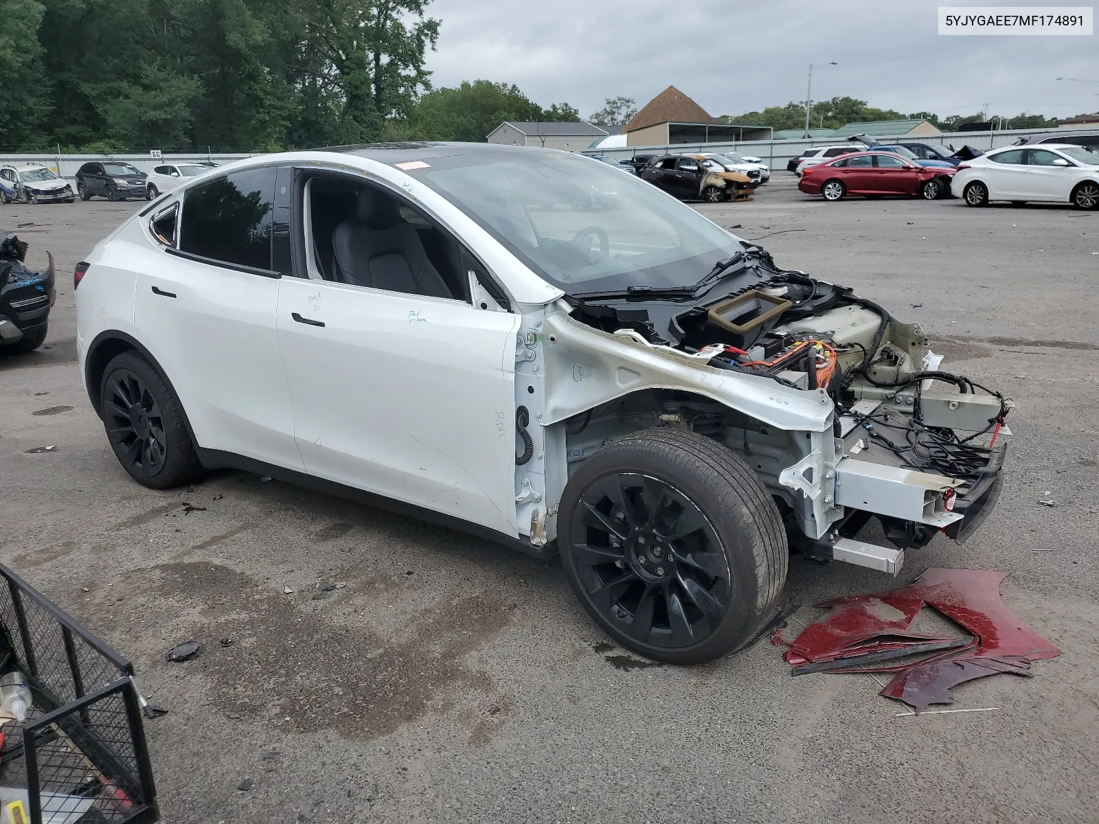 2021 Tesla Model Y VIN: 5YJYGAEE7MF174891 Lot: 65643534