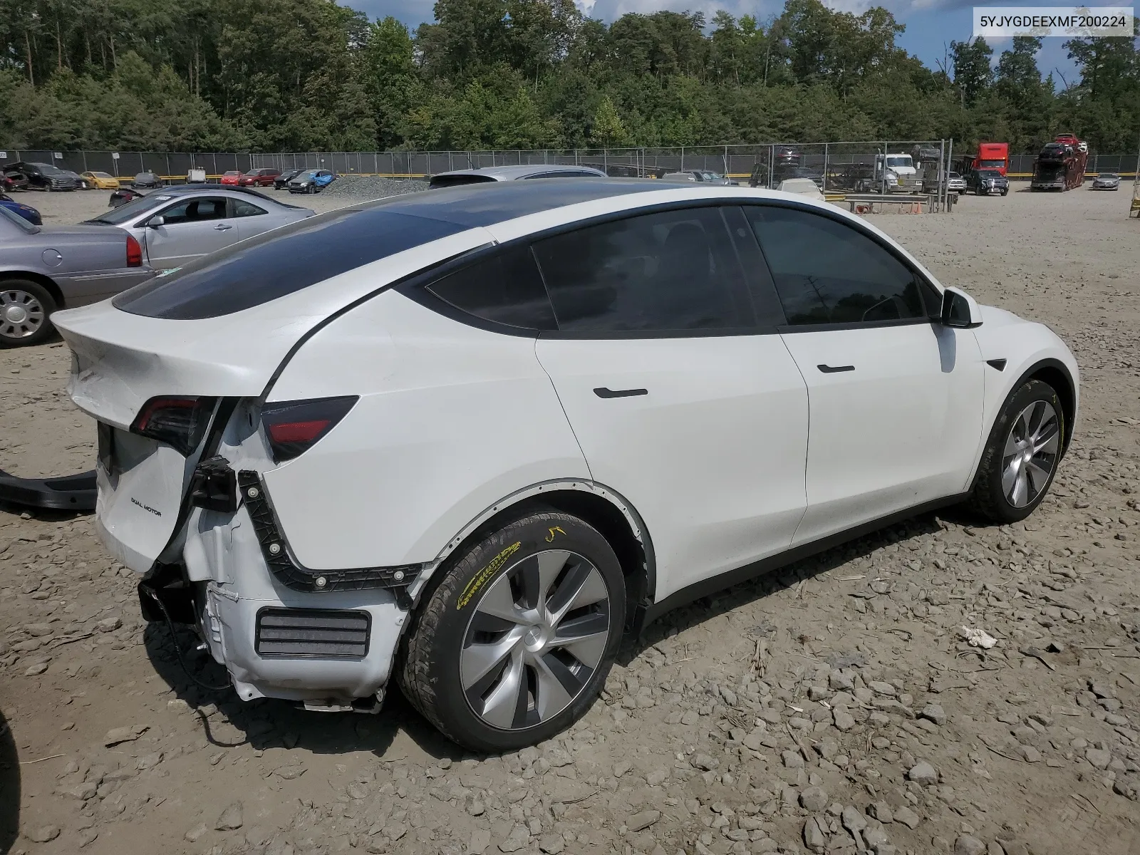 2021 Tesla Model Y VIN: 5YJYGDEEXMF200224 Lot: 66010384