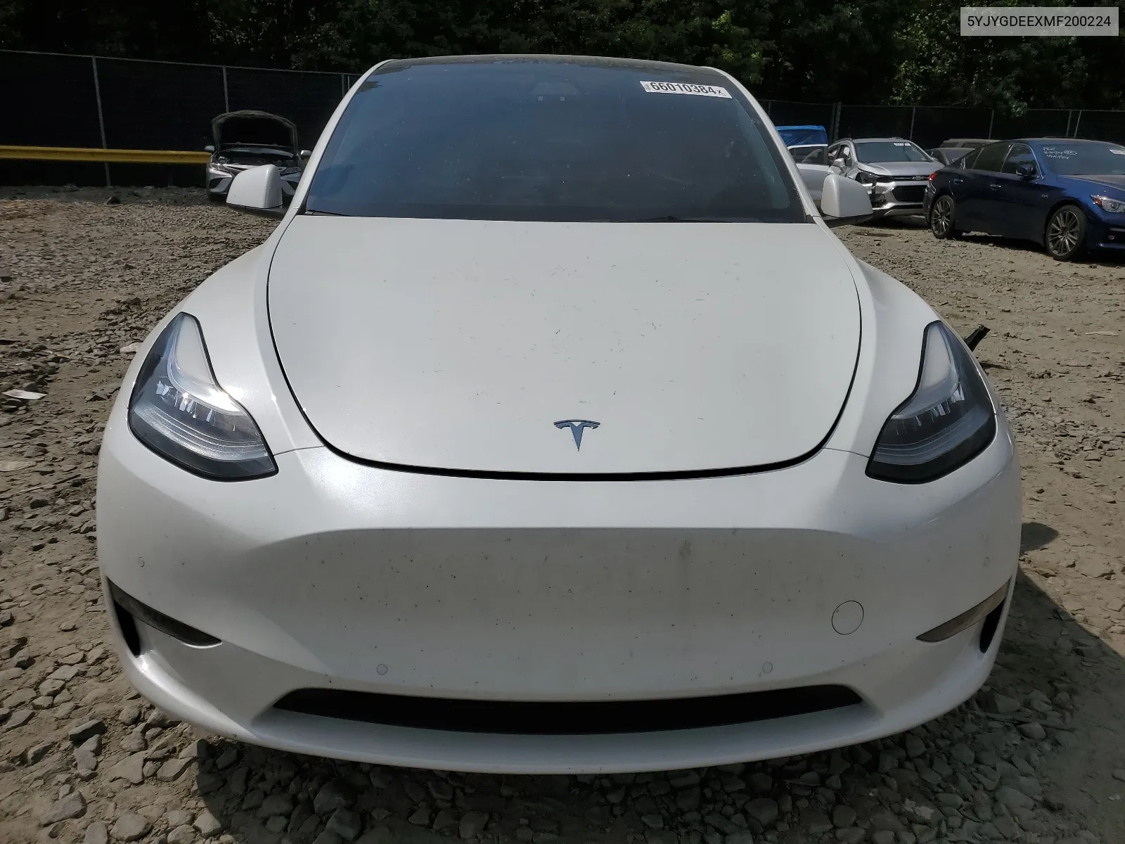 2021 Tesla Model Y VIN: 5YJYGDEEXMF200224 Lot: 66010384