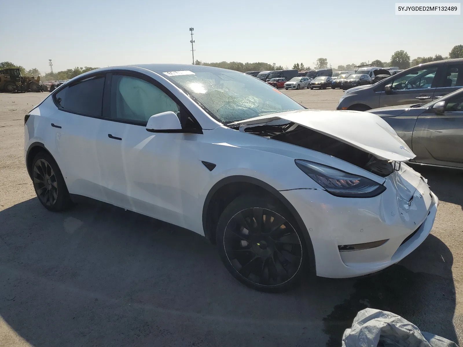 2021 Tesla Model Y VIN: 5YJYGDED2MF132489 Lot: 66169954